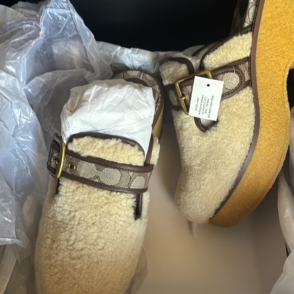 Coach- Dylan Shearling - Picture 3 of 3